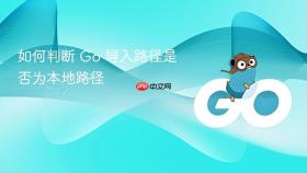 如何判断 Go 导入路径是否为本地路径