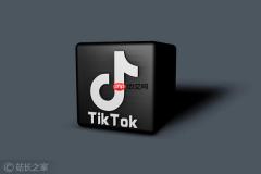 TikTok 撤回视频摘要 AI 功能:因频繁出现“蓝莓”等严重幻觉