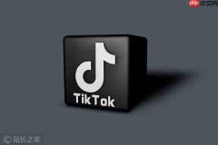 TikTok 撤回视频摘要 AI 功能:因频繁出现“蓝莓”等严重幻觉