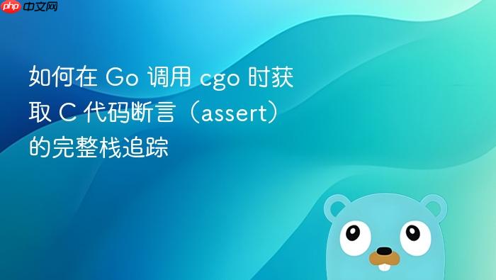 如何在 Go 调用 cgo 时获取 C 代码断言（assert）的完整栈追踪
