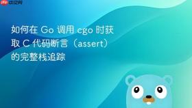 如何在 Go 调用 cgo 时获取 C 代码断言(assert)的完整栈追踪