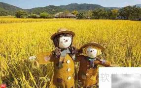 稻草人作者揭秘