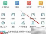 民生银行即时通查询指南