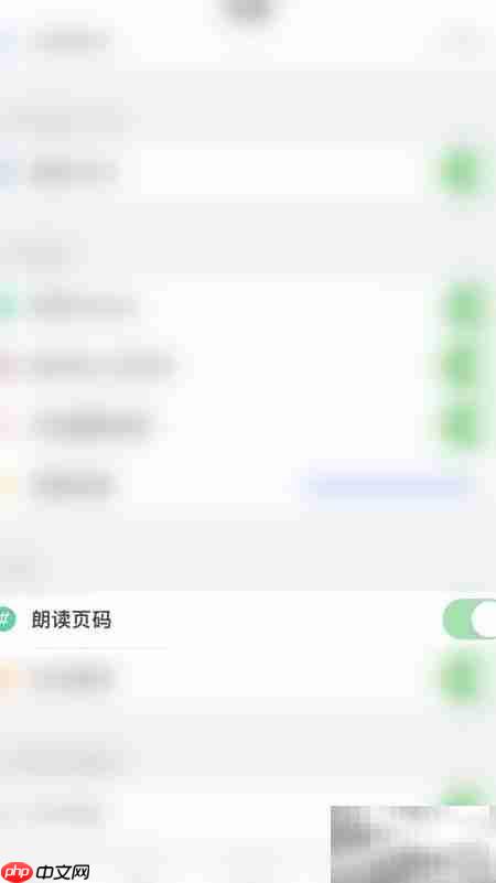 PDF Pro朗读页码启用方法