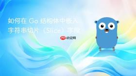 如何在 Go 结构体中嵌入字符串切片(Slice)字段