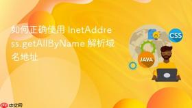 如何正确使用 InetAddress.getAllByName 解析域名地址