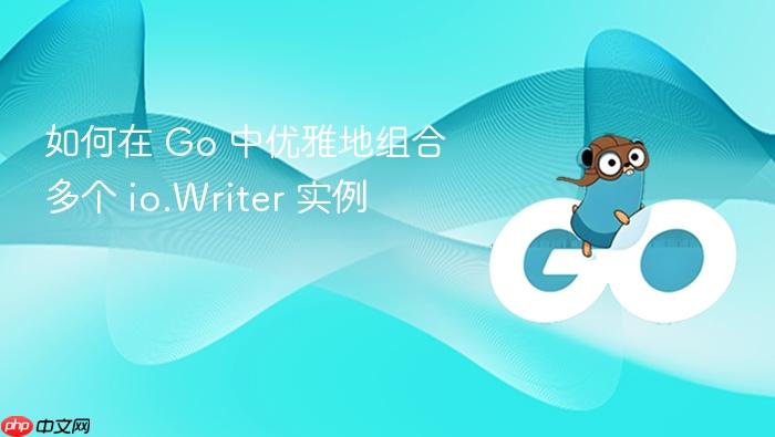 如何在 Go 中优雅地组合多个 io.Writer 实例