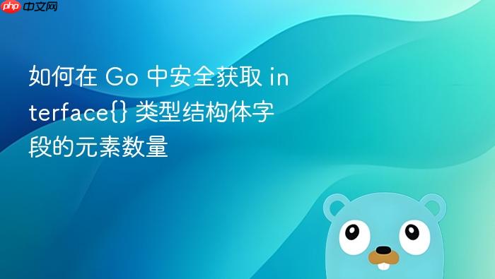 如何在 Go 中安全获取 interface{} 类型结构体字段的元素数量
