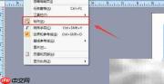 Publisher取消标尺方法