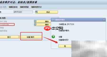 SAP数据库表维护配置