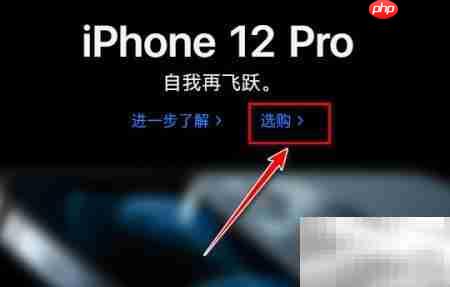 iPhone 12 Pro购买指南