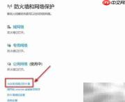 Fiddler防火墙设置指南