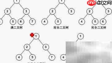 数据结构入门指南