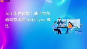 Jolt 条件转换：基于字段值动态添加 dataType 属性
