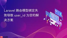 Laravel 路由模型绑定失效导致 user_id 为空的解决方案