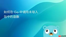 如何在 Go 中调用未导入包中的函数
