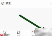 面面软件开启隐藏勋章功能