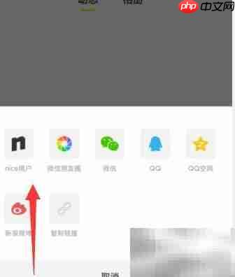 如何分享Nice个人主页