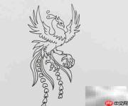 火凤凰绘画步骤详解