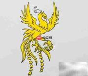 火凤凰绘画步骤详解