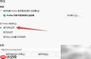 Firefox启动时显示主页设置