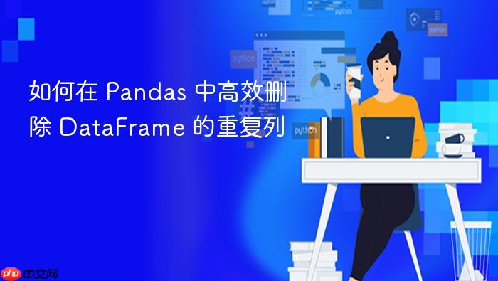如何在 Pandas 中高效删除 DataFrame 的重复列