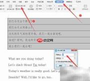 Word中英文对照排版技巧