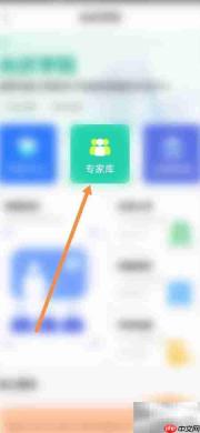 网上国网查专家资料指南