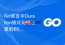 Go语言中Duration格式化输出里的B5s含义解析