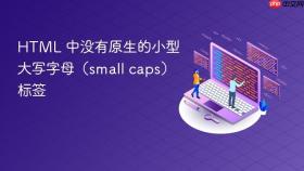 HTML 中没有原生的小型大写字母(small caps)标签