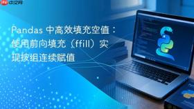 Pandas 中高效填充空值:使用前向填充(ffill)实现按组连续赋值