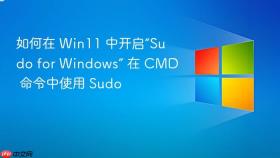 如何在 win11 中开启“sudo for windows” 在 cmd 命令中使用 sudo