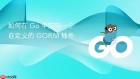 如何在 go 中实现一个自定义的 gorm 插件