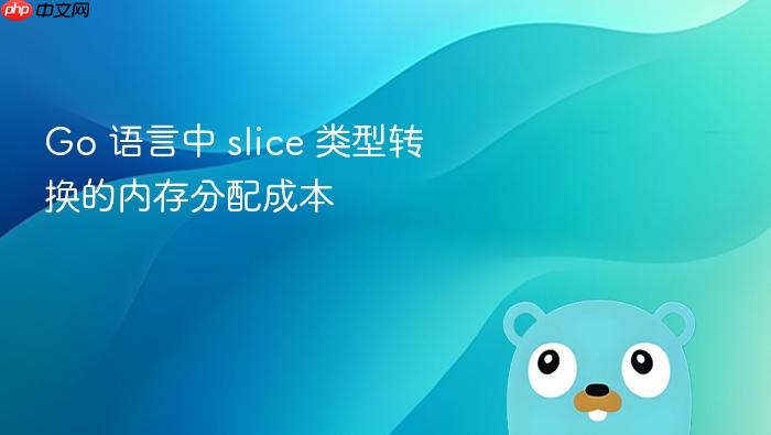 go 语言中 slice 类型转换的内存分配成本