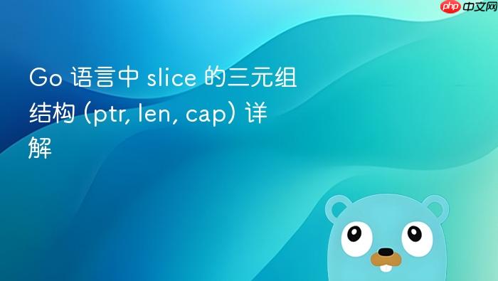 go 语言中 slice 的三元组结构 (ptr, len, cap) 详解