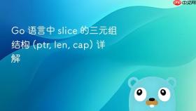 go 语言中 slice 的三元组结构 (ptr, len, cap) 详解