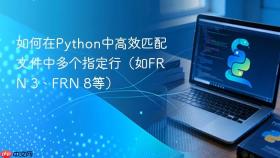如何在Python中高效匹配文件中多个指定行（如FRN 3、FRN 8等）
