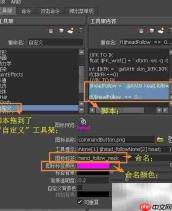 头部随颈自然转动