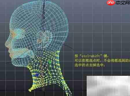 头部随颈自然转动