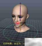 头部随颈自然转动