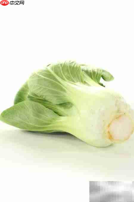 孕产妇可以吃小白菜吗