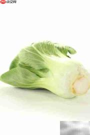 孕产妇可以吃小白菜吗