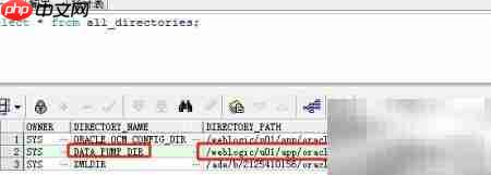 Oracle数据库导入导出指南