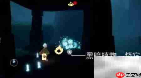 光遇2.28每日任务速通攻略