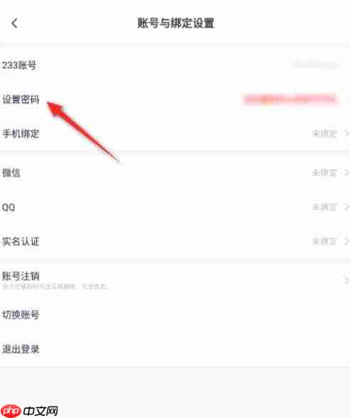 233乐园怎么设置密码?-233乐园设置密码的方法