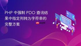 PHP 中强制 PDO 查询结果中指定列转为字符串的完整方案