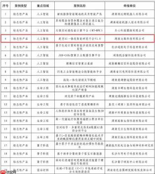 麦芽 AI 入选省级优秀典型案例！湖南元数科技领跑未来产业新赛道