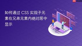 如何通过 CSS 实现子元素在兄弟元素内绝对居中显示