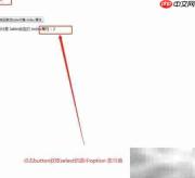 option对象index属性用法解析