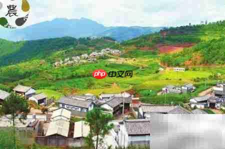 乡村旅游开发模式探析